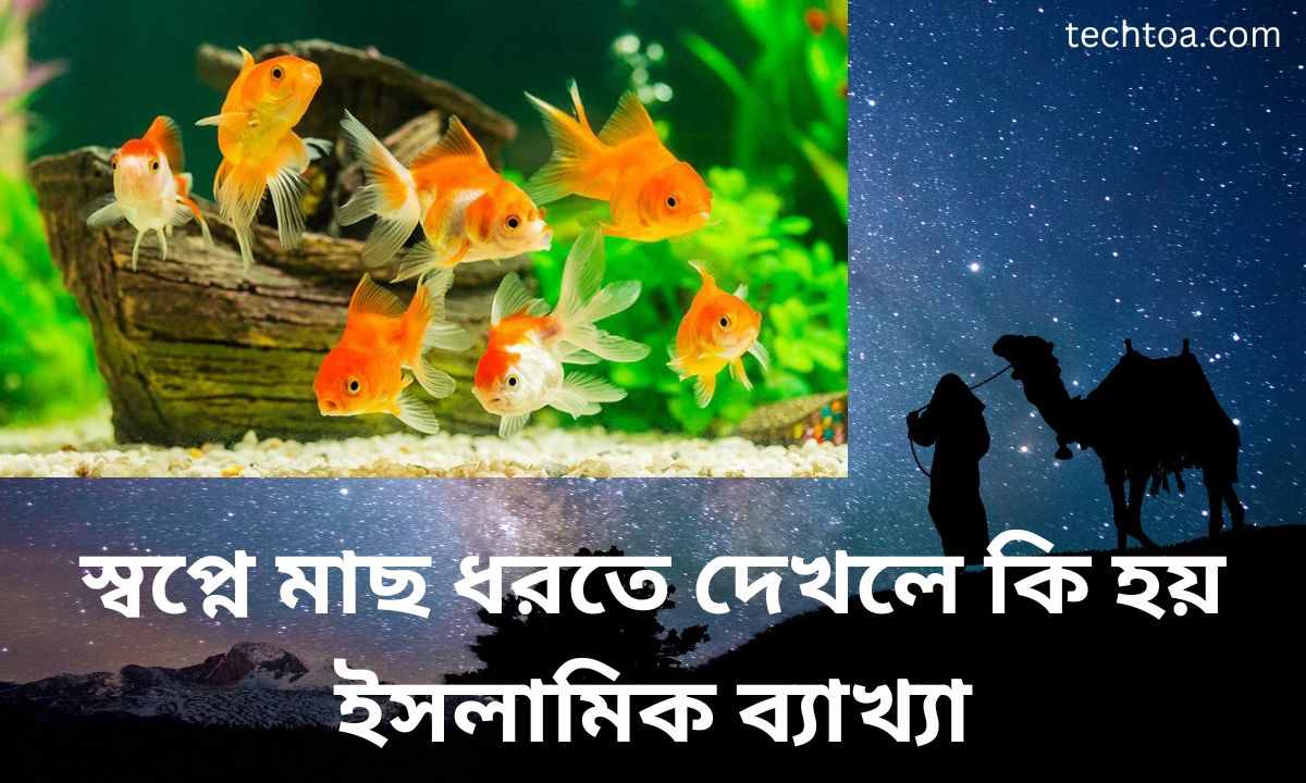 স্বপ্নে মাছ ধরতে দেখলে কি হয় ইসলামিক ব্যাখ্যা