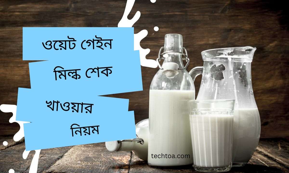 ওয়েট গেইন মিল্ক শেক খাওয়ার নিয়ম। ওয়েট গেইন মিল্ক শেক কোথায় পাওয়া যায়?