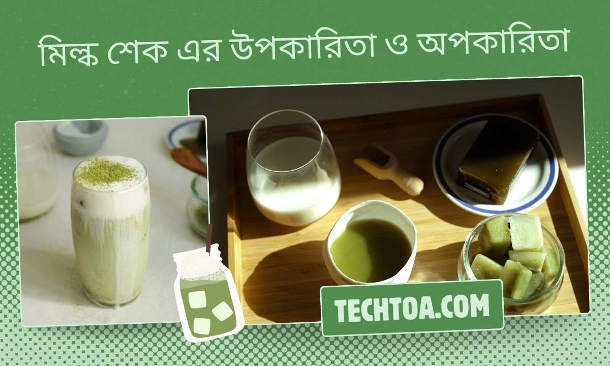 মিল্ক শেক এর উপকারিতা ও অপকারিতা